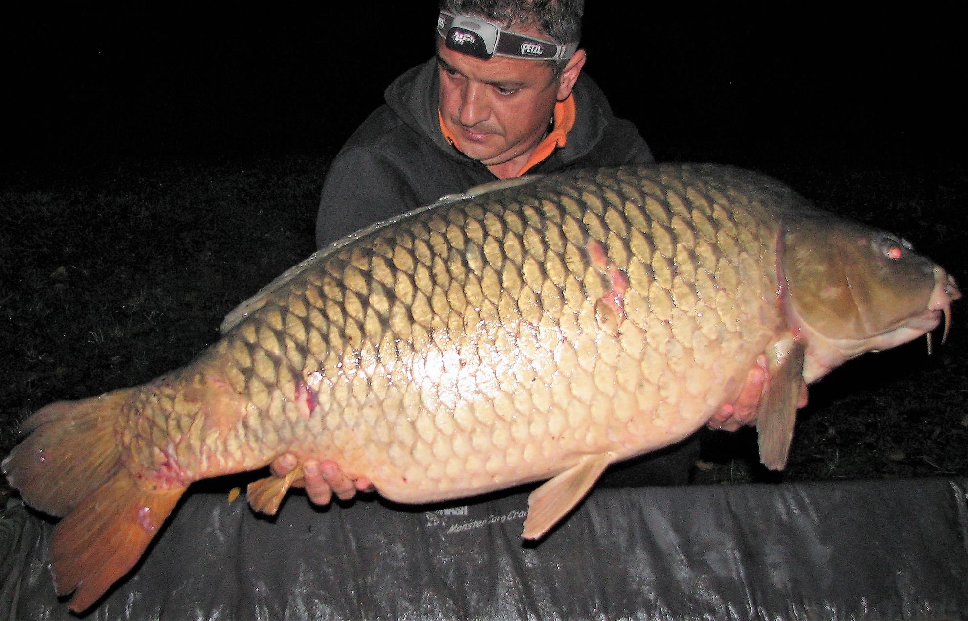 Pelagicevo 8 - 15 octombrie 2017 - img10.jpg